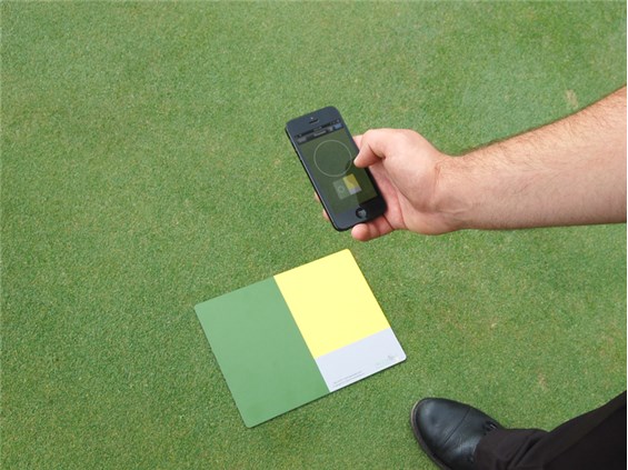 A view of someone using FieldScout on their phone with green and yellow references.